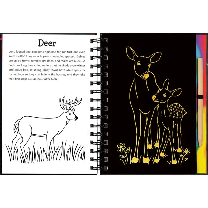 Forest Friends Scratch & Sketch Art Activity Book – Fenwick Float-ors