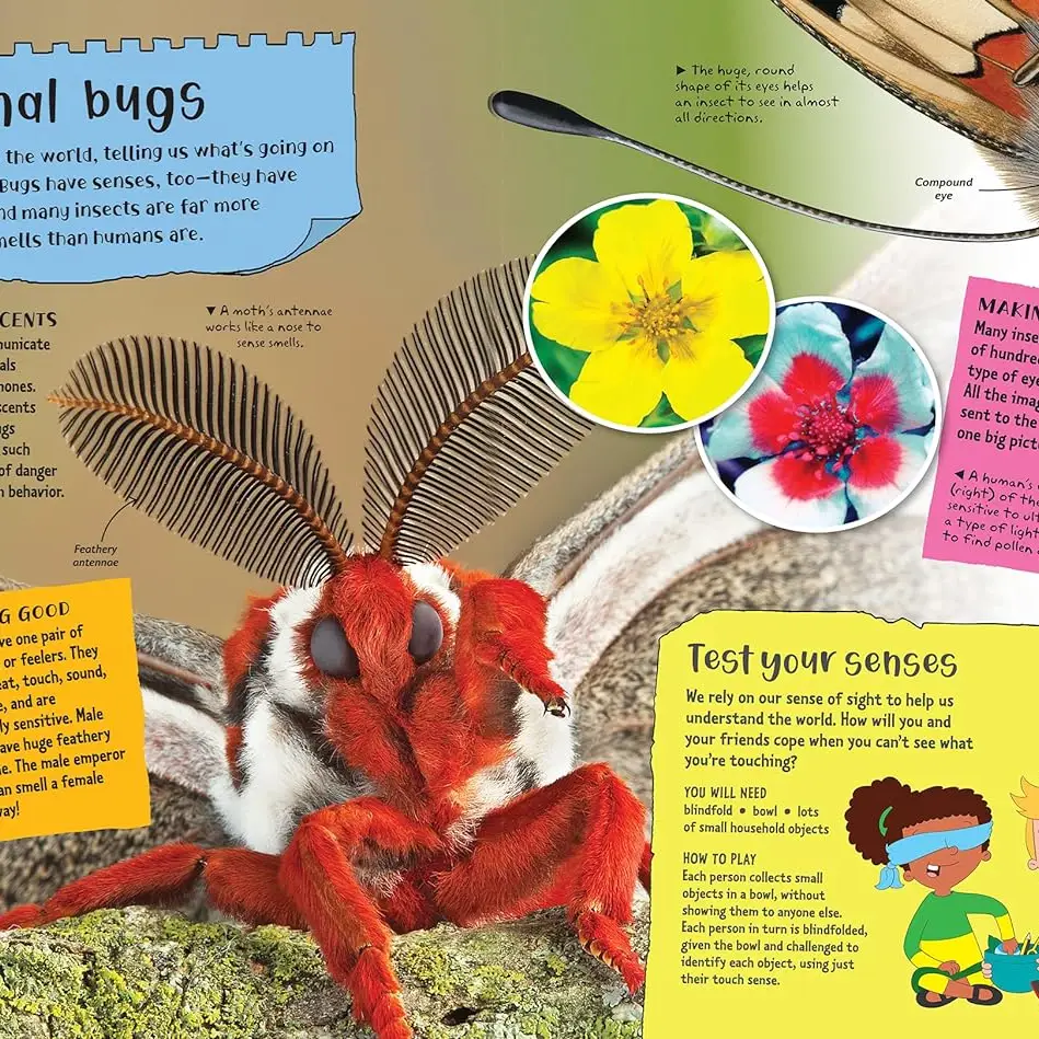 Project Bugs Book – Fenwick Float-ors
