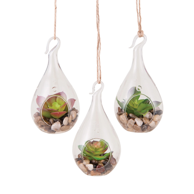 christmas succulent terrariums Succulent Terrarium Christmas Ornament – Fenwick Float-ors